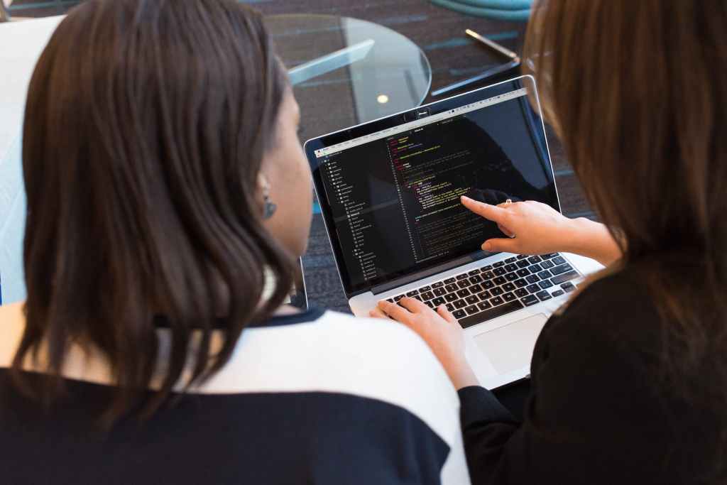 What roles can a Data Analyst&nbsp;undertake?
